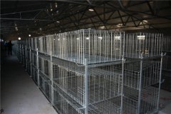 steel structured broiler house in Malaysia