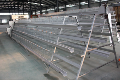 need galvanized cage for 7500birds in nigeria