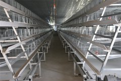 galvanized chicken rearing cage