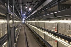 how many feeders and drinkers are needed for 7000 broilers zimbabwe