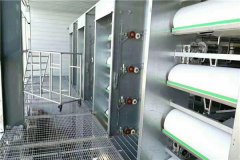 battery cages for sale in Cameroon