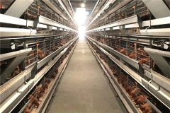 poultry house with battery cage for lease ibadan