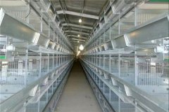 buy 120 birds hot deep galvanized layer rust free cage from china