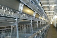 facilities and equipment of poultry house production