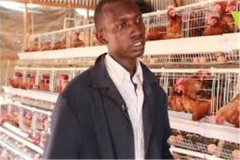 cost of cage structure for 20000 birds in nigeria