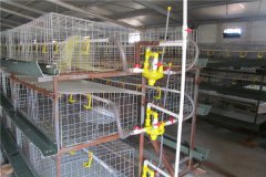 Broiler cage for chickens iron for sale in nigeria