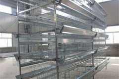 zambia metal wire mesh farm chicken coops from china